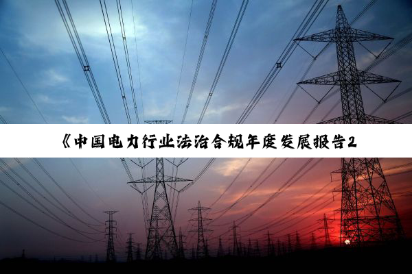 《中国电力行业法治合规年度发展报告2025》发布